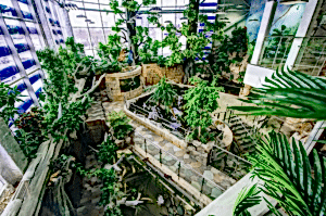 okeanarium_ekaterinburg